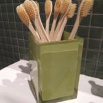 LOTE 10 CEPILLOS DE DIENTES BAMBOO