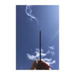 INCIENSO CITRONELLA VARILLAS