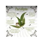 INCIENSO EUCALIPTO VARILLAS