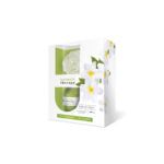 FLOR PERFUMADA DAMA DE NOCHE B.T. 60ML