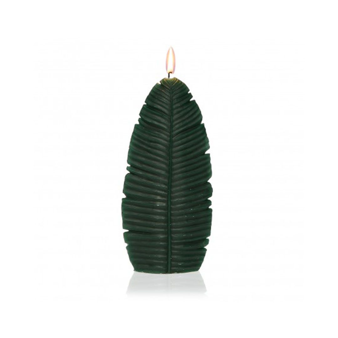 Vela hoja verde